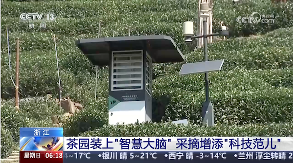 央視、人民網(wǎng)等權(quán)威媒體聚焦西湖龍井：托普云農(nóng)“黑科技”點(diǎn)亮千年茶香智變之路